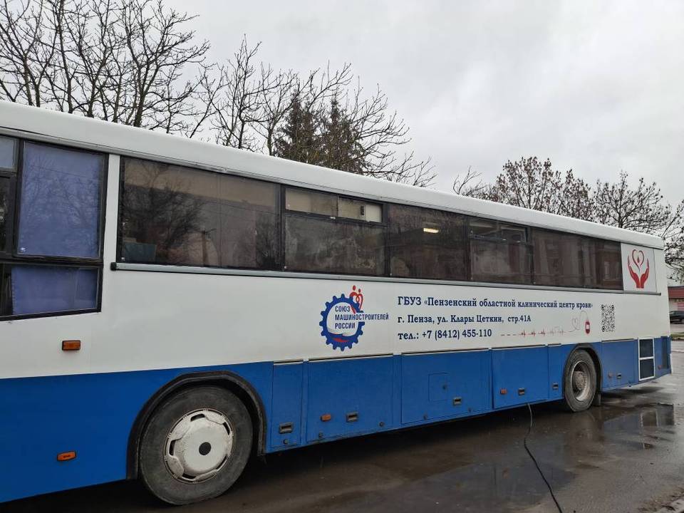 Танцы и донорство объединили жителей Нижнеломовского района в день доброй акции