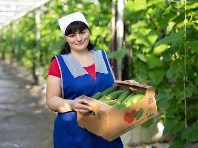 АО «Пензенский тепличный комбинат»