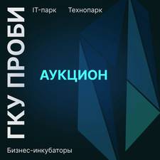 Новые аукционы в ПРОБИ
